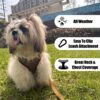 Lulala Puppy Vest Harness and Leash Set Comfort Fit, No Pull, No Choke, Vest Harness with Leash for Puppy and Small Pets (Brown-S)