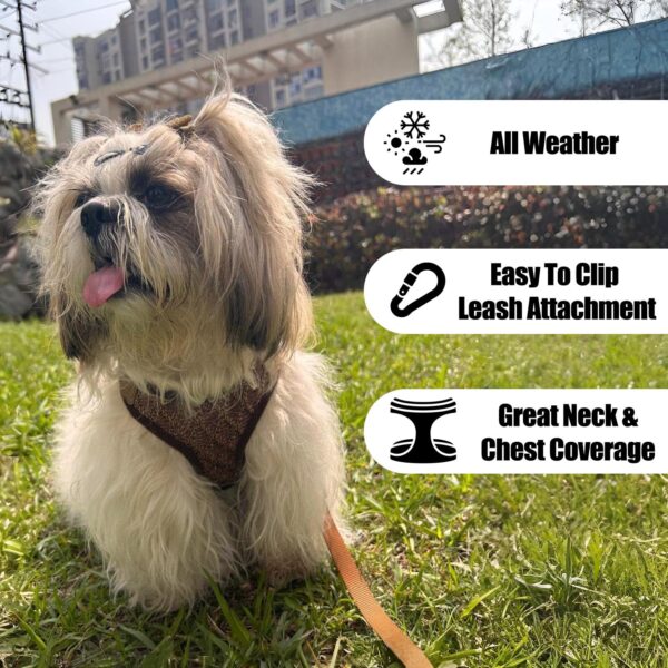 Lulala Puppy Vest Harness and Leash Set Comfort Fit, No Pull, No Choke, Vest Harness with Leash for Puppy and Small Pets (Brown-S)