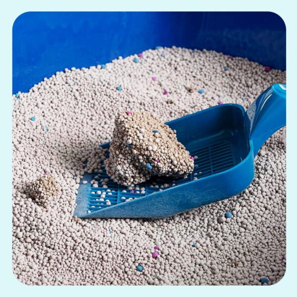 Premium 10 Kg Lavender Scented Cat Litter | Natural Bentonite Clay | Odour Control, Dust Free Scoopable, Instant Clumping, 100% Chemical Free