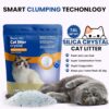 Foodie Puppies Silica Crystal Cat Litter - 3.8L (Pack of 2) | Odor Control and High Absorption | Non-Clumping, Deodorizing and Continuous Freshness | Natural and Low Dust