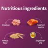 81zBYzPnLrL._SL1500_.jpg Whiskas Junior Kitten (2-12 Months) Wet Cat Food, Chicken with Salmon in Jelly, 80 g x 28, Hydrating Food Made with Real Fish, 100% Complete & Balanced Nutrition for Kittens