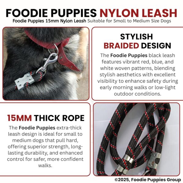 Foodie Puppies Dog Training Walking Rope - Nylon Leash (15mm) for Small to Medium Sized Dogs With Strong Hook - Color May Vary