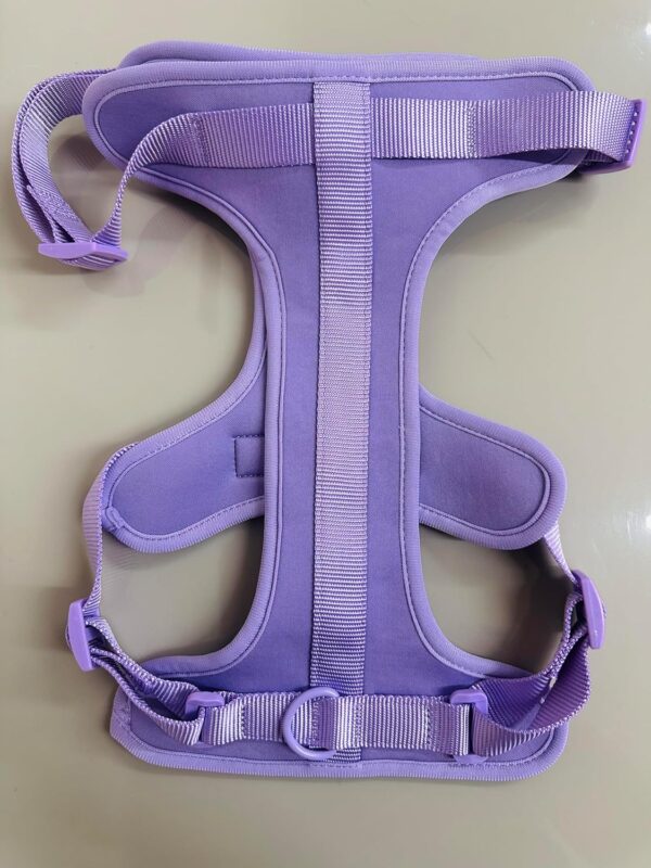 Dogs Harness l No Choke Comfortable Dog Vest Harness l Soft Comfortable Padded l Anti-Pull Harness for Walking, Training (S)