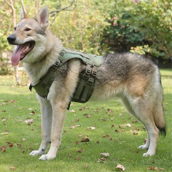 910tEvtQ40L._SL1500_.jpg Tactical Dog Harness for Medium Large Dogs No Pull Adjustable Dog Vest for Training Walking Military Grade with Molle Panels Easy Control Tactical Harness with Handle (Green, Large)
