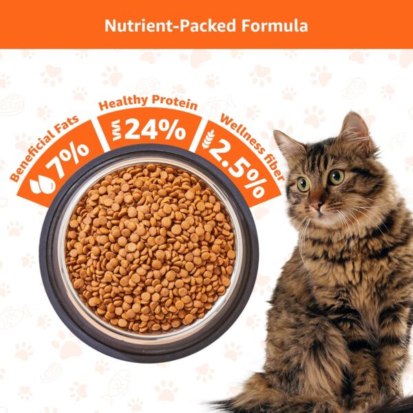 Amazon Basics Dry Cat Food|3 Kg|Ocean Fish|acked with Protein|Suitable for All Breeds with Amazon Basics Scoopable Smart White Bentonite Scented Cat Litter|10 Kg|Lavender Fragrance