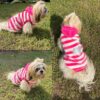 Lulala Dog Hoodie Fuzzy Sweater with Leash Hole - Small Dog & Cat Clothes Warm Soft Cozy Hooded Sweatshirt for Winter.(Pink-12Inch)