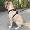 919do2ssNRL._SL1500_.jpg Comfort Adjustable Dog Harness with Free Carry Bag, Padded Leash & Poop Bag Holder, Size L, Classic Black, Soft Padded Chest & Back, No-Pull Design, Safety Buckles, Reflective Trim