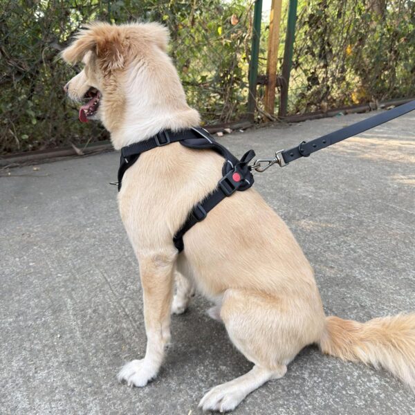919do2ssNRL._SL1500_.jpg Comfort Adjustable Dog Harness with Free Carry Bag, Padded Leash & Poop Bag Holder, Size L, Classic Black, Soft Padded Chest & Back, No-Pull Design, Safety Buckles, Reflective Trim