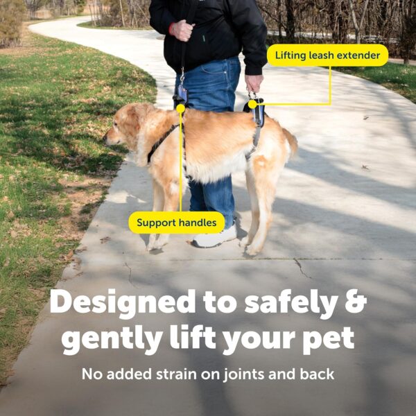 91Br-6wVC9L._SL1500_.jpg Solvit Dog Lifting Aid Mobility Harness (Black, Large, Pack of 1)