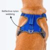91CHKf1QoTL._SL1500_.jpg HUFT Active Pet Dog Harness - Royal Blue (S) | Lightweight Adjustable Harness for Puppies, Small Dogs, and Medium Dogs | Durable and Stylish Dog Leash and Harness for Training & Everyday Use