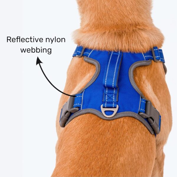 91CHKf1QoTL._SL1500_.jpg HUFT Active Pet Dog Harness - Royal Blue (S) | Lightweight Adjustable Harness for Puppies, Small Dogs, and Medium Dogs | Durable and Stylish Dog Leash and Harness for Training & Everyday Use