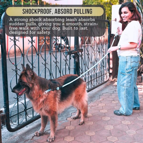 x Indian Hound 15mm Heavy Duty Nylon Rope Dog Cord Leash with Strong Hook for Walking, Running, Training of Small Medium Large Dogs (5ft Long, L, Peacock Blue)