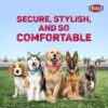 TRIXIE Nylon Premium Dog Collar Belt, Stylish Design, Adjustable Webbing Tape, Strain Relief, With Leash Connector, Neck Collar For Dogs, 35-55 Cm (M-L, Red)