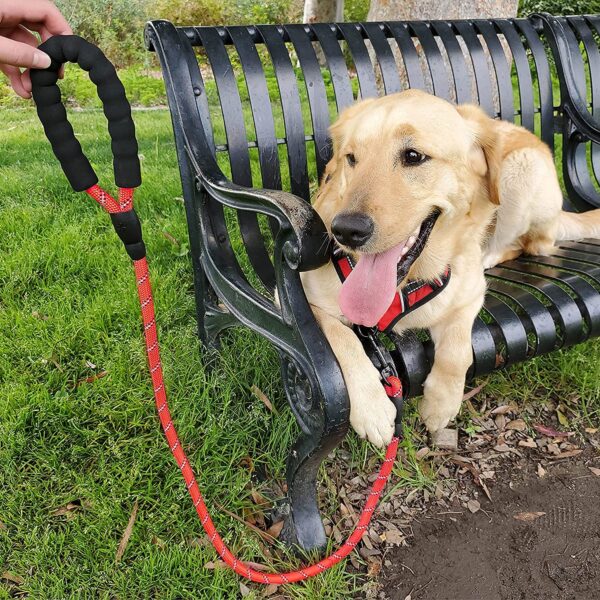 Petology Dog Leash 5FT Long, ½ Inch Thick Reflective Heavy Duty Rope with Anti-Slip Padded Handle for Small & Medium Dogs (Red, 5 Feet - Small & Medium Dogs)