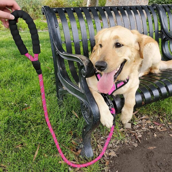 Petology Dog Leash 4FT Long, 1cm Thick Reflective Heavy Duty Rope with Anti-Slip Padded Handle for Small Dogs