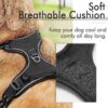 JV No-Pull Dog Harness with Reflective Straps, Padded Air Mesh, Adjustable with Top Handle, Black