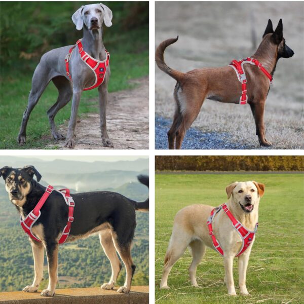 HANK Dog Harness | 3M Reflective | Strong Metal Hook | Dog Chest Belt for Large Dogs | No Pull Harness for Walking, Training (Red - Grey - L (23-35Kg)