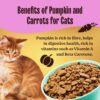 91VUzpULZEL._SL1500_.jpg Kennel Kitchen Air Dried Cat Food | 1 Kg | Chicken & Mackerel Recipe | Premium Dry Cat Food for All Life Stages | No Artificial Flavours, Preservatives & Colours