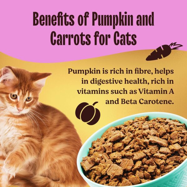 91VUzpULZEL._SL1500_.jpg Kennel Kitchen Air Dried Cat Food | 1 Kg | Chicken & Mackerel Recipe | Premium Dry Cat Food for All Life Stages | No Artificial Flavours, Preservatives & Colours