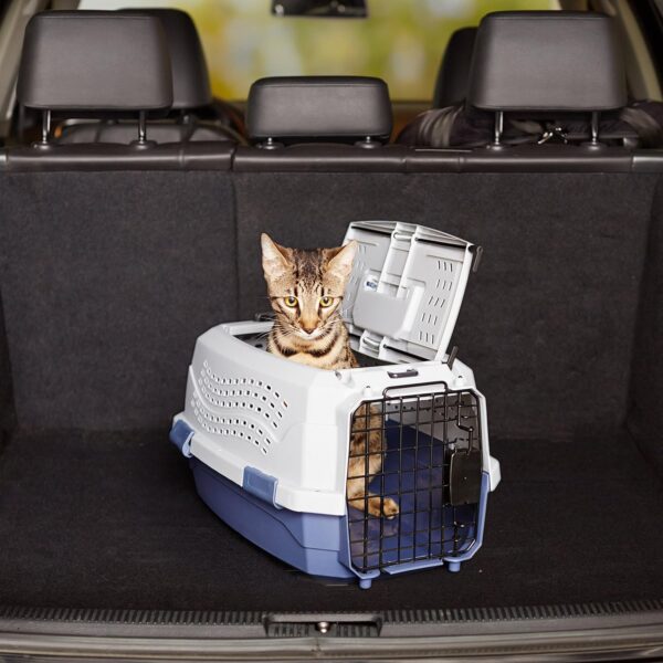 91XPW4g-v6L._SL1500_.jpg AmazonBasics Two Door Top Load Pet Carrier, Small Size |19-inch | Portable Airline Pet Carrier for Cats, Puppies and Kitten | Small