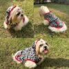 91YaZSgxKCL._SL1500_.jpg Lulala Dog Hoodie Fuzzy Dog Sweater with Leash Hole and Pocket Warm Soft Cozy Hooded Sweatshirt Fleece for Small Dog & Cat (Black, Grey-8Inch)