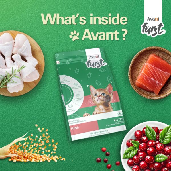 91cvU9NyjZL._SL1500_.jpg Kitten Dry Cat Food – Tuna Fish Flavor | 1kg