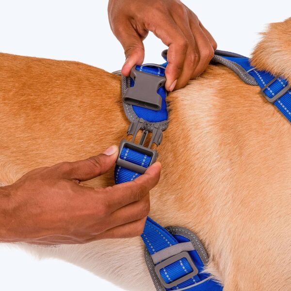 91dwRlLeUL._SL1500_.jpg HUFT Active Pet Dog Harness - Royal Blue (S) | Lightweight Adjustable Harness for Puppies, Small Dogs, and Medium Dogs | Durable and Stylish Dog Leash and Harness for Training & Everyday Use