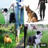 91i4awEL9FL._SL1500_.jpg Buraq 6FT Reflective Double Handle Dog Leash, Dual Padded Handles for Control & Comfort, Strong Clip Lead for Walking, Training & Safety