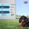 TRIXIE Nylon Premium Dog Collar Belt, Stylish Design, Adjustable Webbing Tape, Strain Relief, With Leash Connector, Neck Collar For Dogs, 35-55 Cm (M-L, Red)