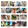 91lwdpPQSkL._SL1500_.jpg CATCHY Dog Harness for Puppy, Small and Medium Dog Breeds, Choke Free Puppy Harness, Reflective No Pull Dog Harness, Small and Medium Dog Vest Harness (Red, XS)