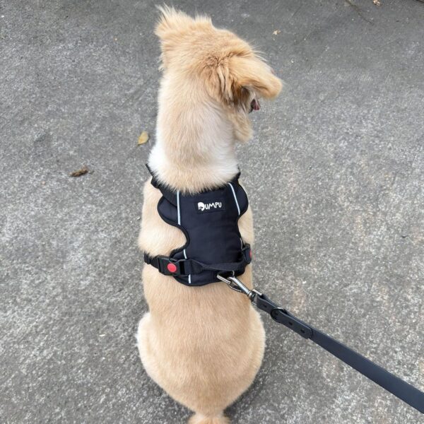 91mHptbVb9L._SL1500_.jpg Comfort Adjustable Dog Harness with Free Carry Bag, Padded Leash & Poop Bag Holder, Size L, Classic Black, Soft Padded Chest & Back, No-Pull Design, Safety Buckles, Reflective Trim