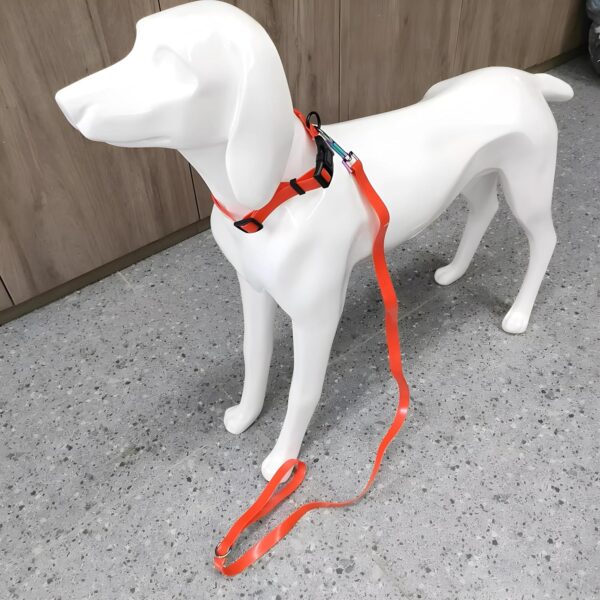 Neoprene Dog Collar with Leash Set – Durable & Adjustable Pet Collar for Large Dogs Orange (Set of 2-1 Collar & 1 Leash)