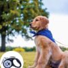 Dog Leash, Pet Products, Dog Chain, Pet Retractable Dog Leash, Anti-Slip Handle One Button Lock & Release, Cat & Dog Rope - Small, Medium, Large (Blue, 5m)