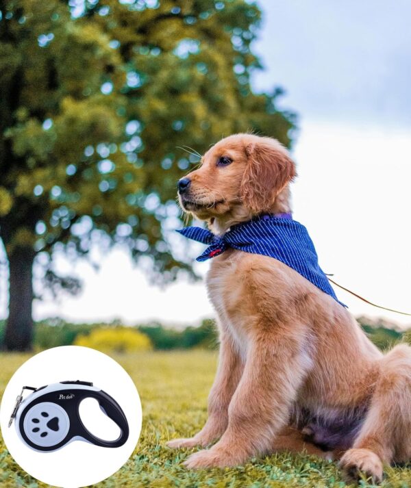 Dog Leash, Pet Products, Dog Chain, Pet Retractable Dog Leash, Anti-Slip Handle One Button Lock & Release, Cat & Dog Rope - Small, Medium, Large (Blue, 5m)