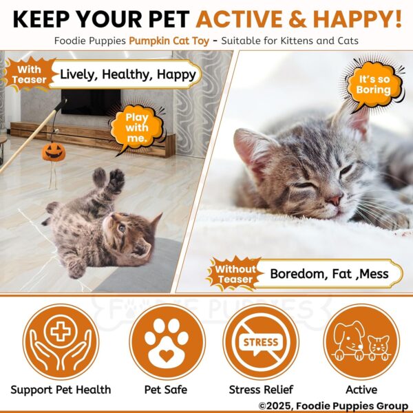 Foodie Puppies Cat Teaser Playing Wooden Stick Halloween Plush Toy (Pumpkin, 41cm) for Cats and Kittens | Interactive Bell Hanging Wood Wand | Fun Teasing, Catching, Chasing and Bonding Play