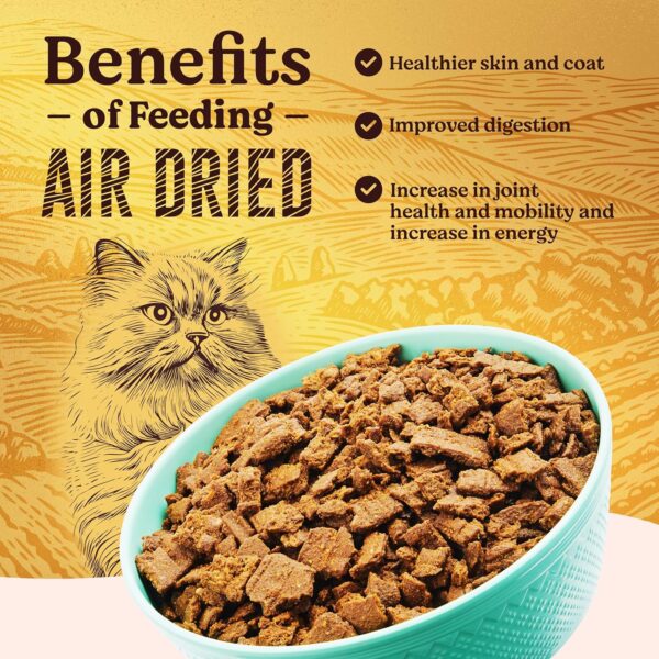 A1ZyxVvPWKL._SL1500_.jpg Kennel Kitchen Air Dried Cat Food | 1 Kg | Chicken & Mackerel Recipe | Premium Dry Cat Food for All Life Stages | No Artificial Flavours, Preservatives & Colours