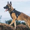 Dog Tactical Harness No-Pull Pet Harness Adjustable Outdoor Pet Vest Army Standard Material Vest for Dogs Easy Control for Small Medium Large Dogs (XL, Tactical Black)