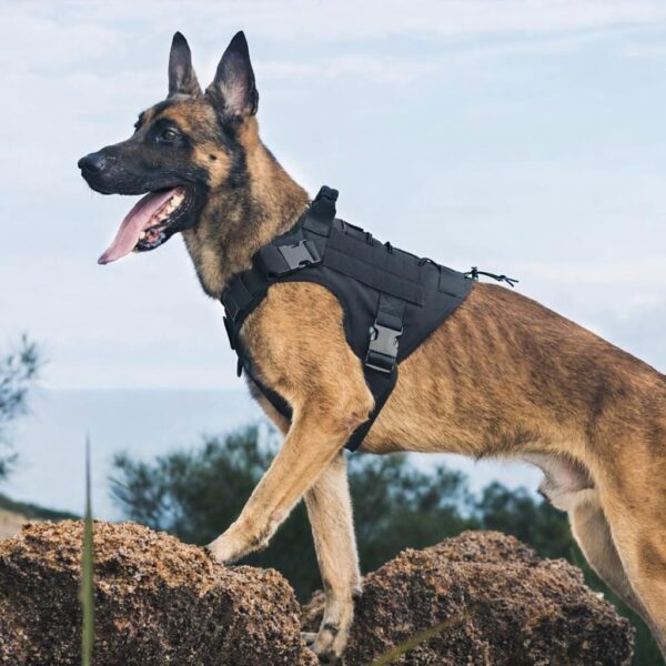 Dog Tactical Harness No-Pull Pet Harness Adjustable Outdoor Pet Vest Army Standard Material Vest for Dogs Easy Control for Small Medium Large Dogs (XL, Tactical Black)