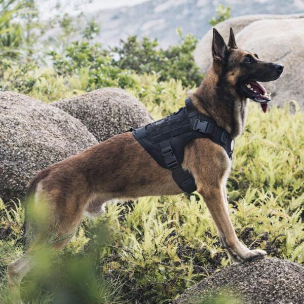 Dog Tactical Harness No-Pull Pet Harness Adjustable Outdoor Pet Vest Army Standard Material Vest for Dogs Easy Control for Small Medium Large Dogs (XL, Tactical Black)