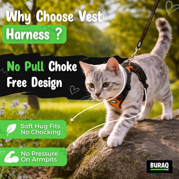 1768238843_81WpdNsIecL._SL1500_.jpg Buraq No Pull Cat Harness with Leash, Escape Proof, Ultra-Light Weight, Air Mesh Fabric, Aesthetic Design Adjustable Cat Leash with Harness (S - Pink)