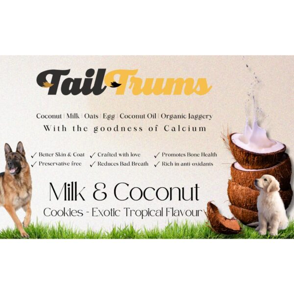 619z2IWU30L._SL1080_.jpg TailTrums Dog Biscuits – Milk & Coconut Cookies with Calcium 250g | Healthy Dog Food | All Breeds |