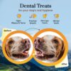 61NEIMQxe5L._SL1000_.jpg Dogsee Himalayan Yak Milk Dog Chews with Turmeric (Large - 1 Chew) - 130g | Help Alleviate Joint Pain | No Rawhide | Calming Dental Chews for Dogs