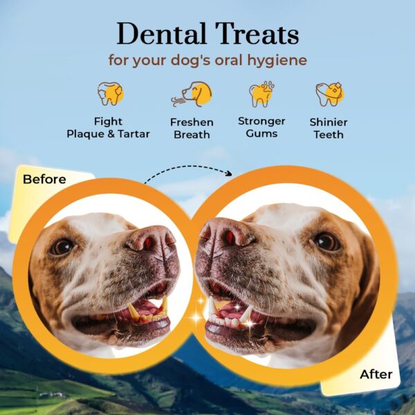 61NEIMQxe5L._SL1000_.jpg Dogsee Himalayan Yak Milk Dog Chews with Turmeric (Large - 1 Chew) - 130g | Help Alleviate Joint Pain | No Rawhide | Calming Dental Chews for Dogs