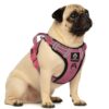 Doggo Bite Premium Reflective Dog Vest Harness| Soft Breathable| Padded Handle| Adjustable Straps & Luxury Buckle | Soft Padded Mesh | No Pull | No-Choke | Chest (22-28nch) All Small Breeds 4-13Kg