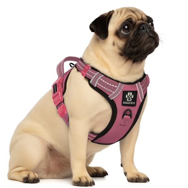 Doggo Bite Premium Reflective Dog Vest Harness| Soft Breathable| Padded Doggo Bite Premium Reflective Dog Vest Harness| Soft Breathable| Padded Handle| Adjustable Straps & Luxury Buckle | Soft Padded Mesh | No Pull | No-Choke | Chest (22-28nch) All Small Breeds 4-13Kg