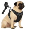 Doggo Bite Premium Reflective Dog Vest Harness| Soft Breathable| Padded Doggo Bite Premium Reflective Dog Vest Harness| Soft Breathable| Padded Handle| Adjustable Straps & Luxury Buckle| No-Choke with Free Designer Leash-19mm| Chest (22-28inch) All Small Breeds 4-13Kg