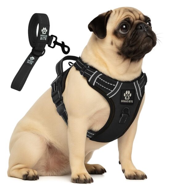 Doggo Bite Premium Reflective Dog Vest Harness| Soft Breathable| Padded Doggo Bite Premium Reflective Dog Vest Harness| Soft Breathable| Padded Handle| Adjustable Straps & Luxury Buckle| No-Choke with Free Designer Leash-19mm| Chest (22-28inch) All Small Breeds 4-13Kg