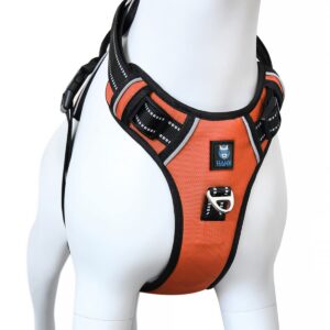 HANK Dog Harness | 4 Adjustable Buckles | Strong Metal Hook | 3M Reflective Strap | Soft Handle | Dog Chest Belt for Large Dogs (Neon Orange - XL (35-65Kg)