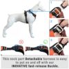 HANK Dog Harness | 4 Adjustable Buckles | Strong Metal Hook | 3M Reflective Strap | Soft Handle | Dog Chest Belt for Large Dogs (Neon Orange - XL (35-65Kg)