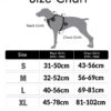 PetVogue Dog Chest Harness No Pull Dogs Medium Size Adjustable PetVogue Dog Chest Harness No Pull Dogs Medium Size Adjustable Pet Harness Leash Clips with Lock, Reflective Pet Dog Walking Harness with Easy Control Handle - Black